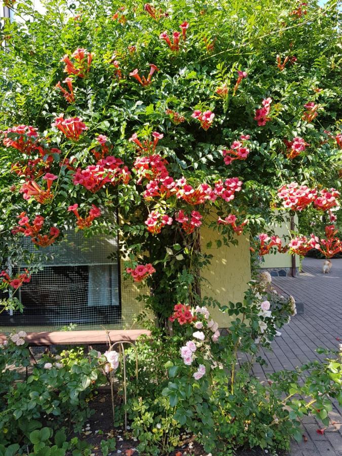 Vila Florena Garden พาลังกา ภายนอก รูปภาพ