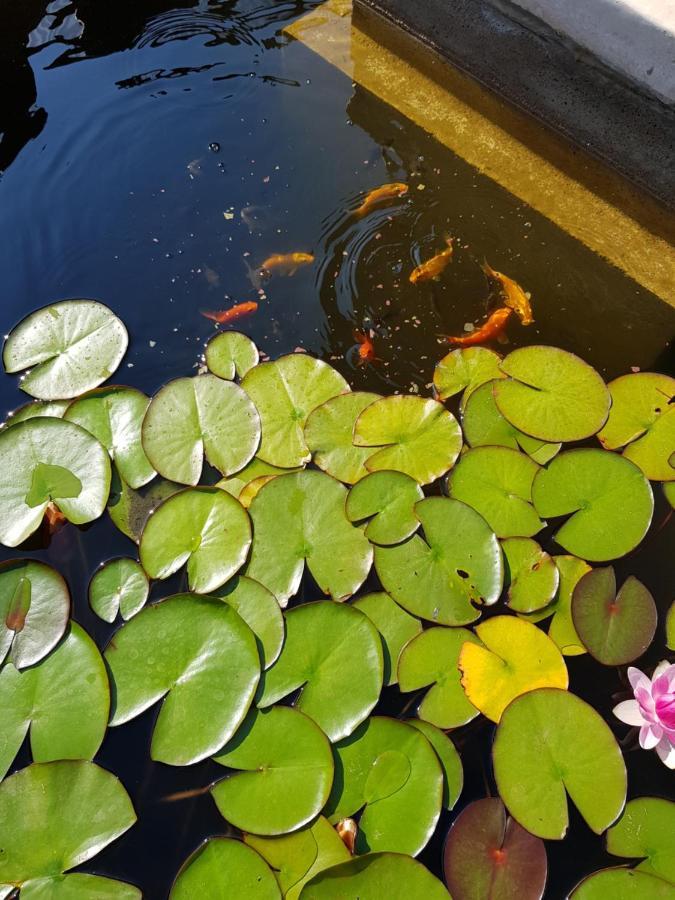Vila Florena Garden พาลังกา ภายนอก รูปภาพ
