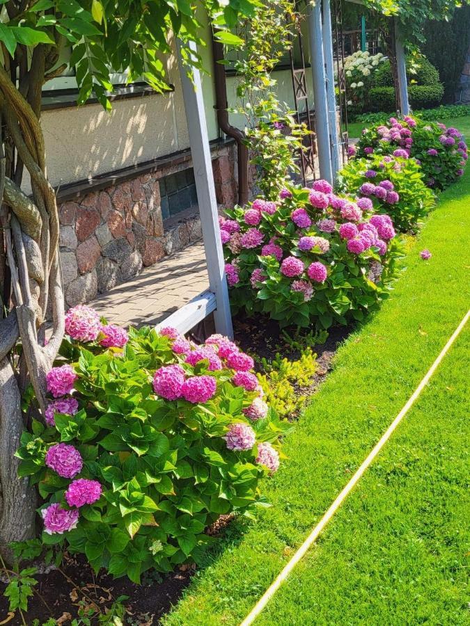 Vila Florena Garden พาลังกา ภายนอก รูปภาพ