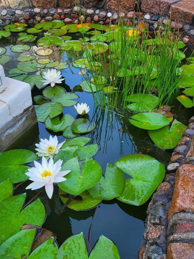 Vila Florena Garden พาลังกา ภายนอก รูปภาพ
